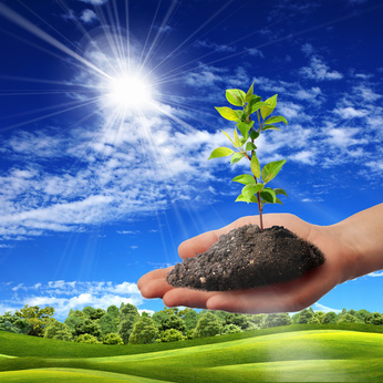 positive-Entwicklung