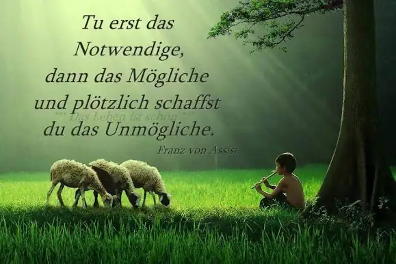 Tue erst das Mögliche, dann das Notwendige und plötzlich schaffst du das Unmögliche.